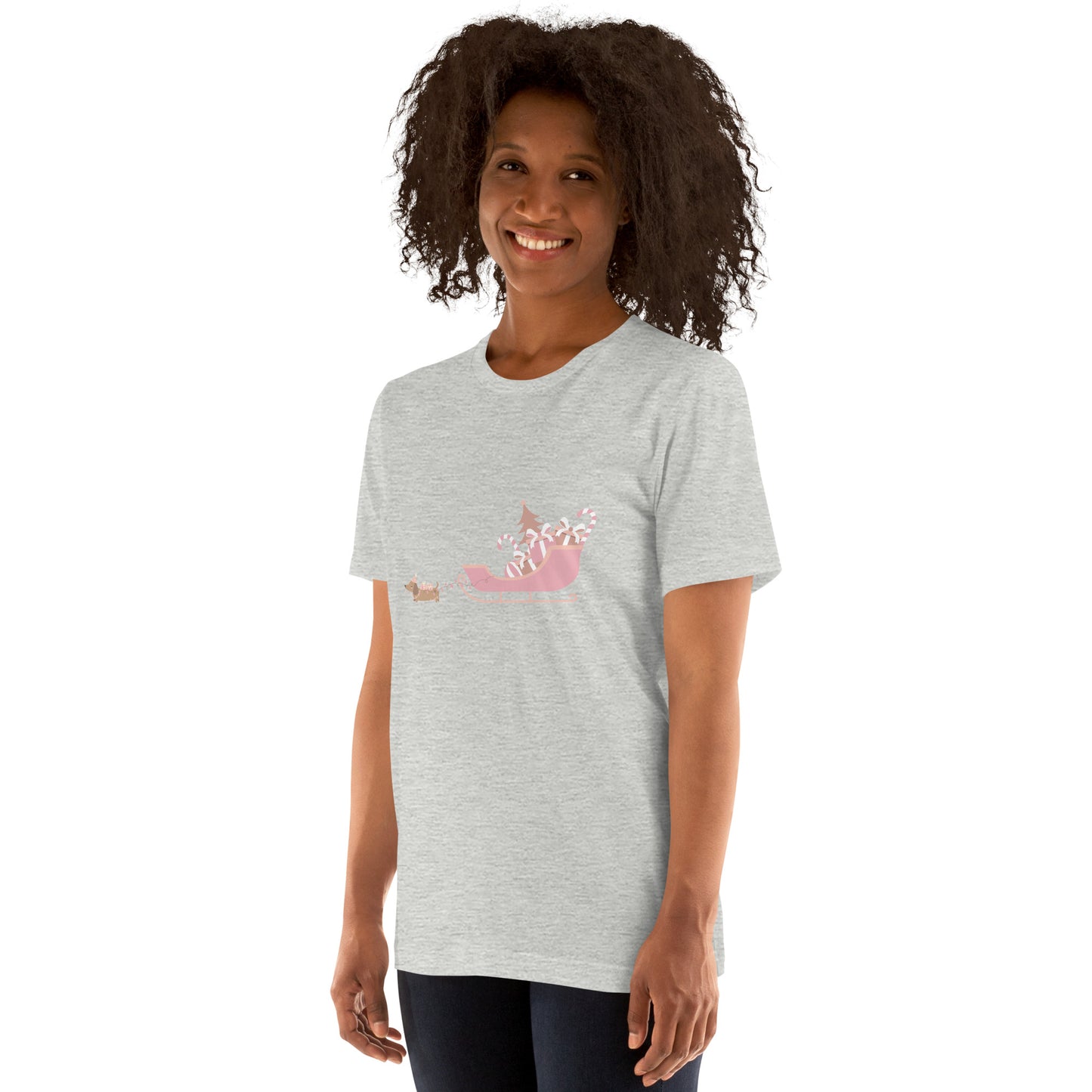 Dachshund Away with the Sleigh Adult T-Shirt