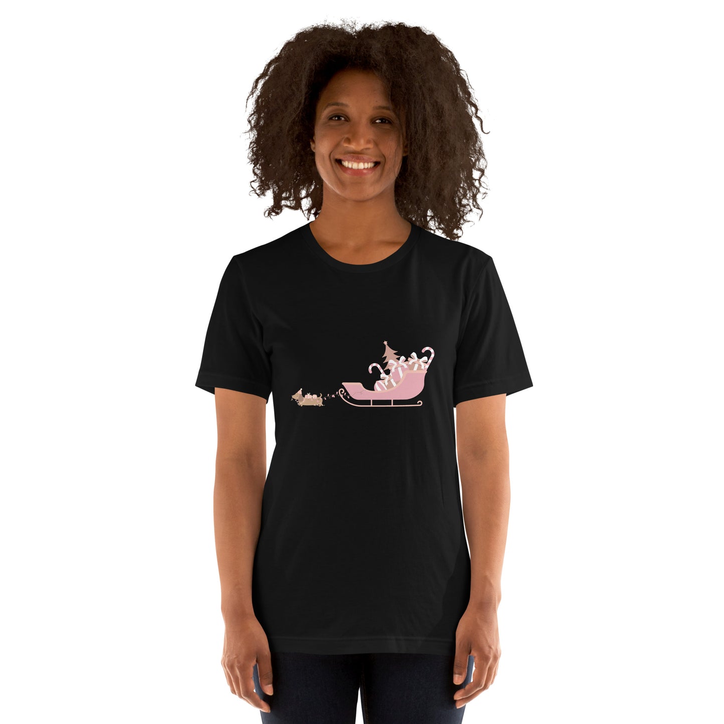 Dachshund Away with the Sleigh Adult T-Shirt