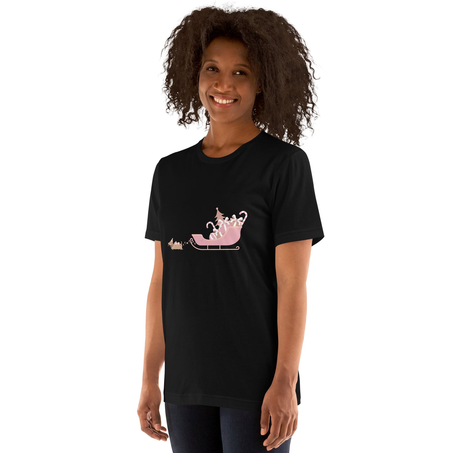 Dachshund Away with the Sleigh Adult T-Shirt