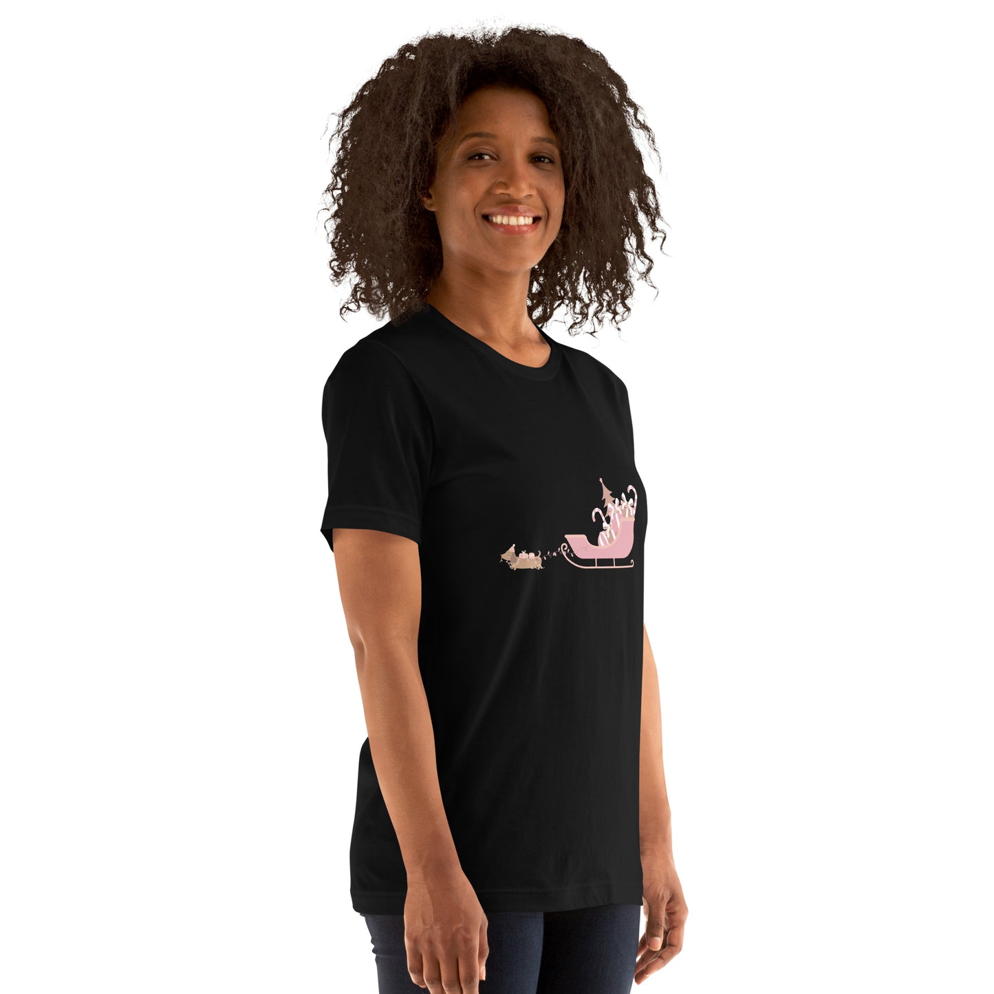 Dachshund Away with the Sleigh Adult T-Shirt