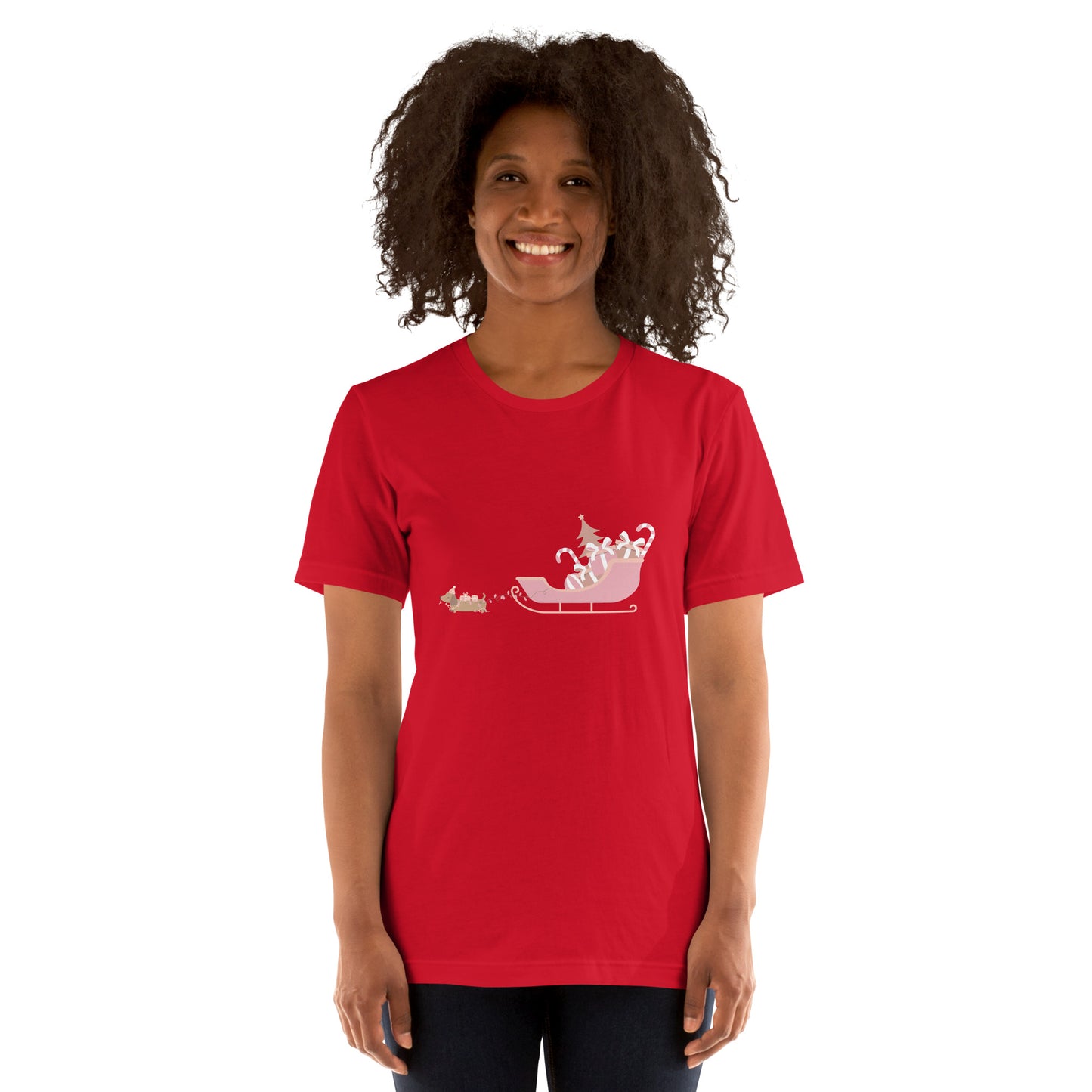 Dachshund Away with the Sleigh Adult T-Shirt