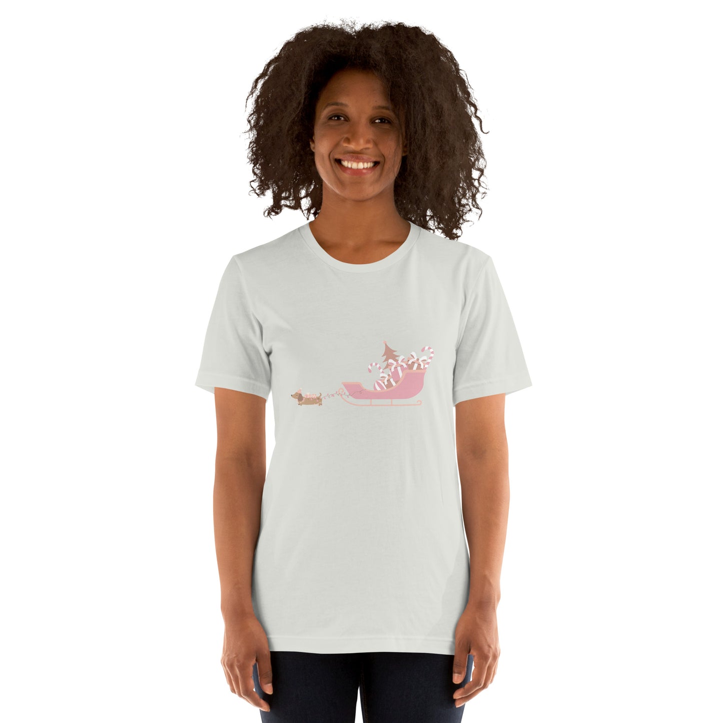 Dachshund Away with the Sleigh Adult T-Shirt