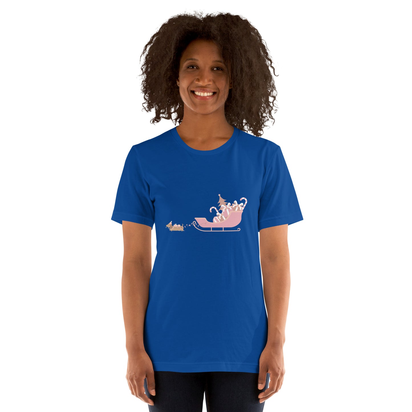 Dachshund Away with the Sleigh Adult T-Shirt