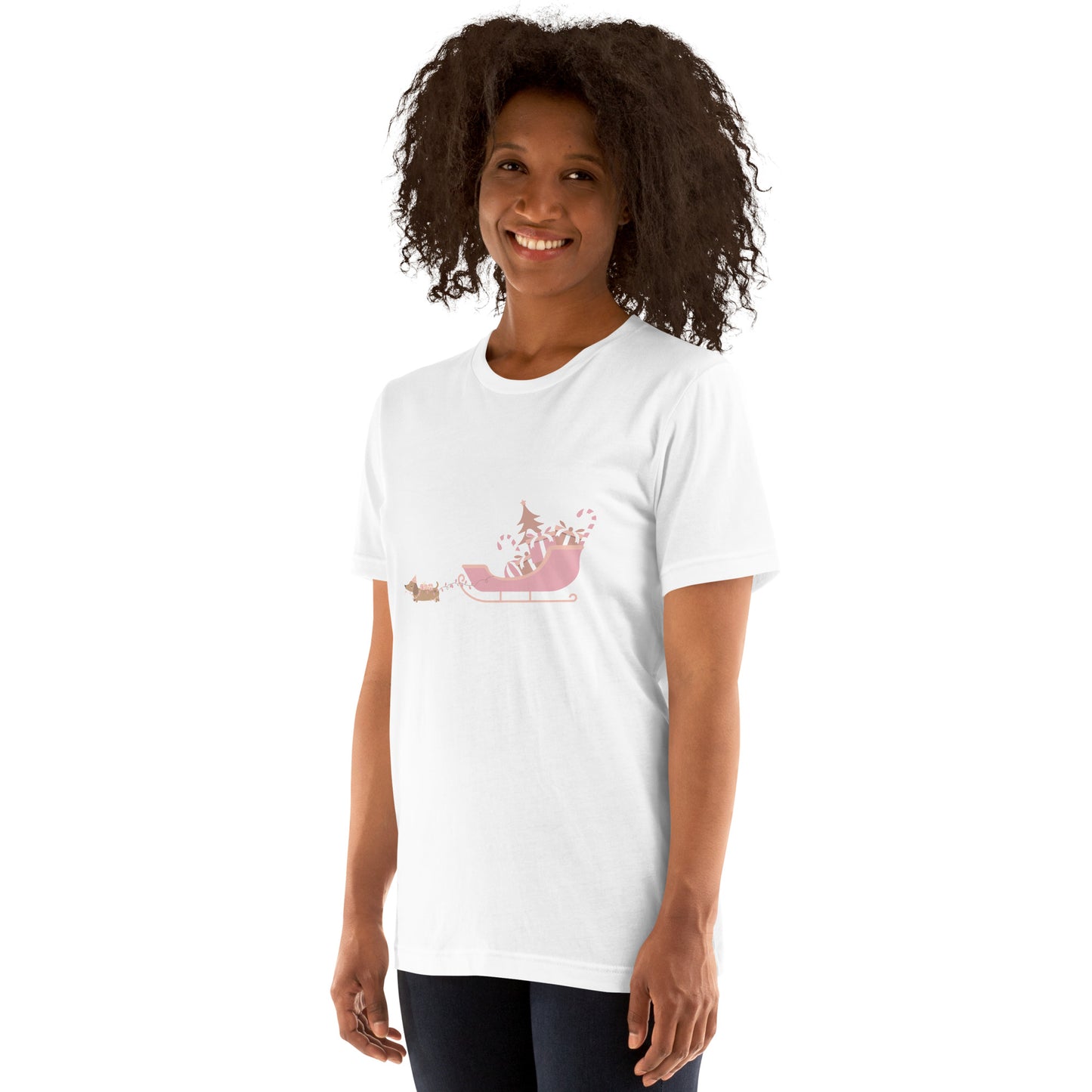 Dachshund Away with the Sleigh Adult T-Shirt